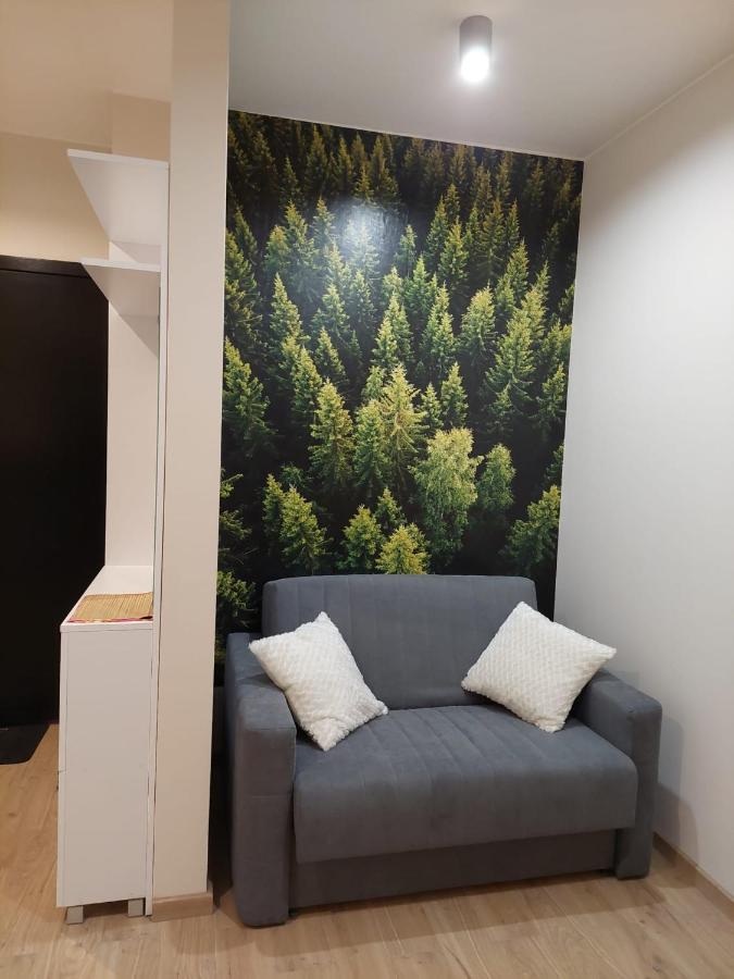 Apartament Pod Gora Szyndzielnia , Debowiec Μπιέλσκο-Μπιάλα Εξωτερικό φωτογραφία