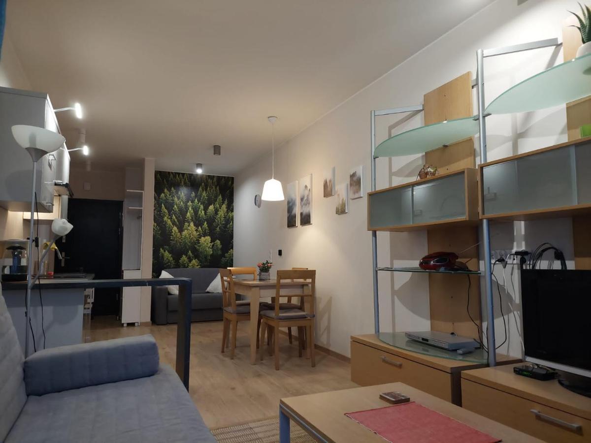 Apartament Pod Gora Szyndzielnia , Debowiec Μπιέλσκο-Μπιάλα Εξωτερικό φωτογραφία